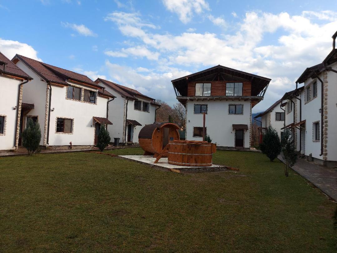 Hotel Domeniul Roa à Avrig Extérieur photo