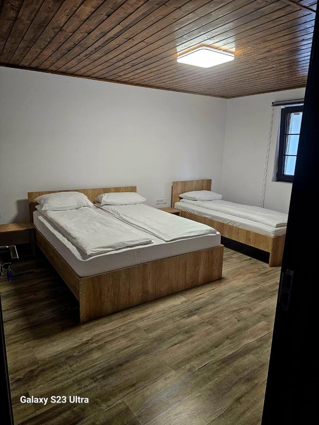 Hotel Domeniul Roa à Avrig Extérieur photo