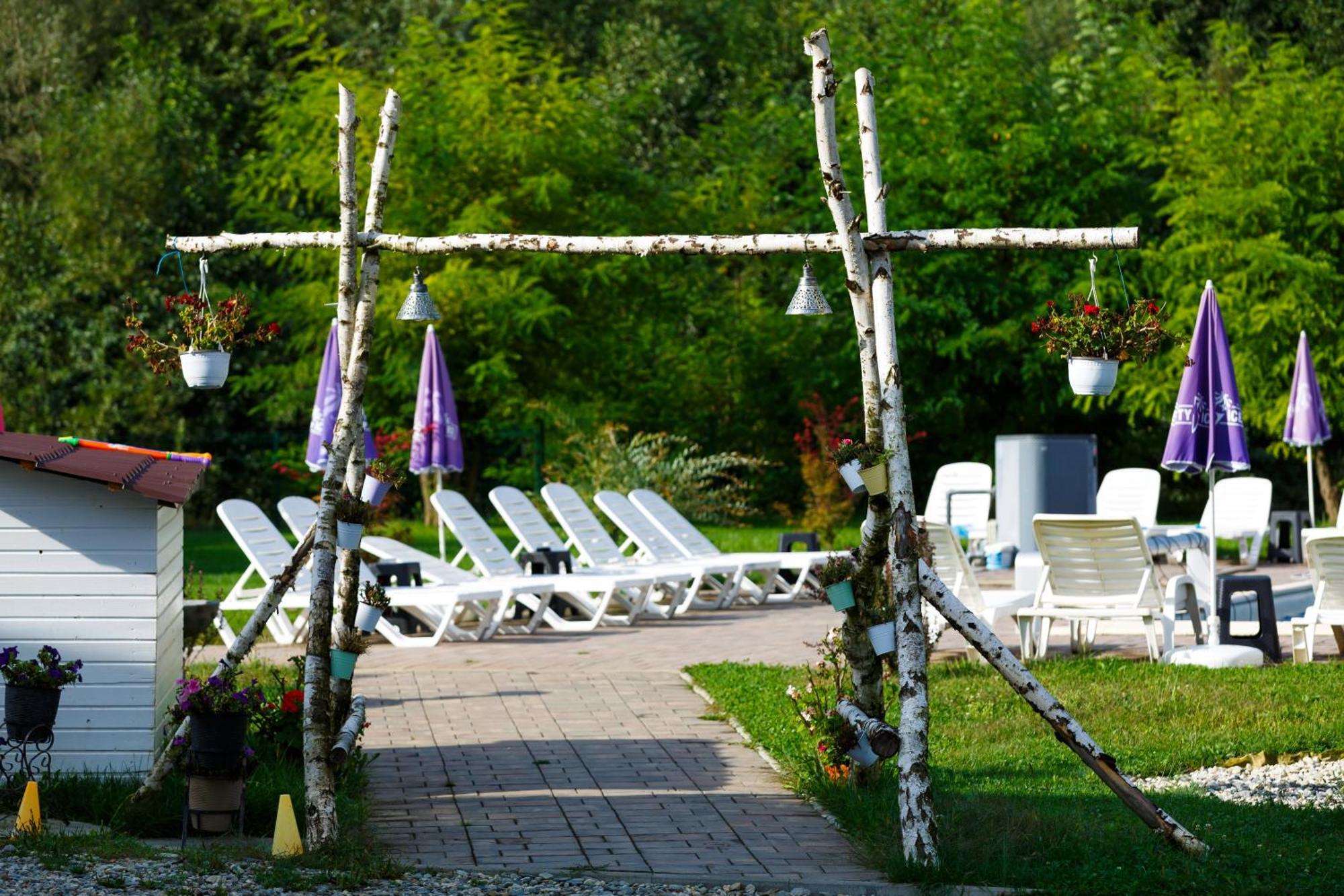 Hotel Domeniul Roa à Avrig Extérieur photo